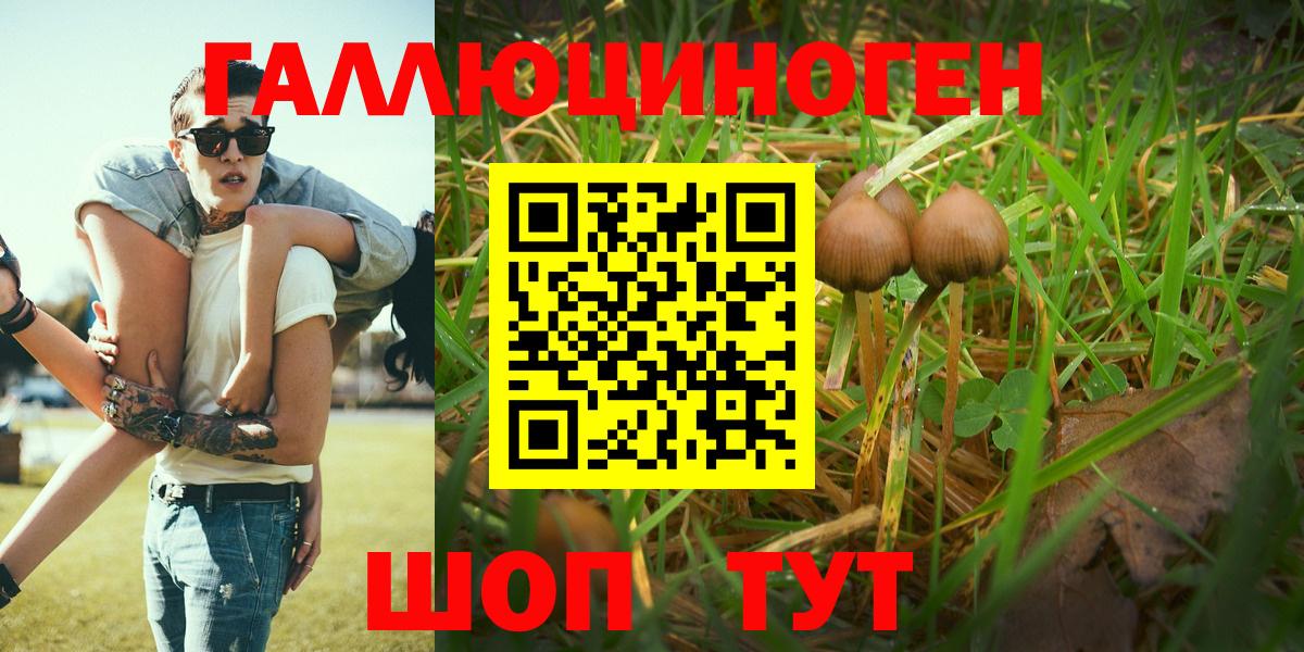 Псилоцибиновые грибы Cubensis Валуйки